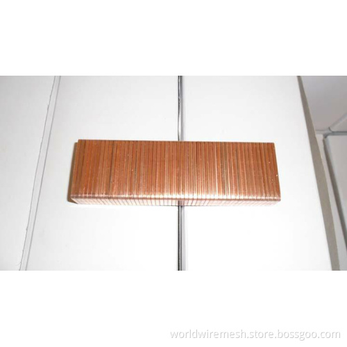 Carton Staples Ly001